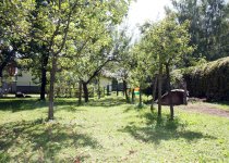 Pri Dobri teti